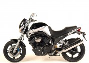 Yamaha BT1100 Bulldog Yamaha BT1100 Bulldog
